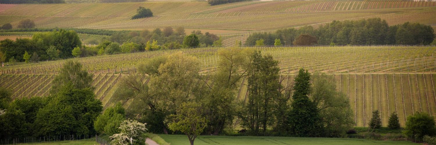 Tipps für einen Bauernhofurlaub in Hessen