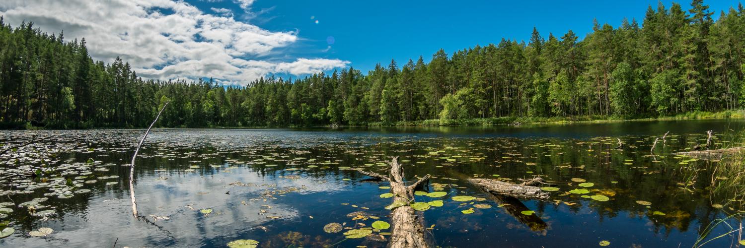 Urlaub am See in Schweden: die Top 5 der schönsten Seen
