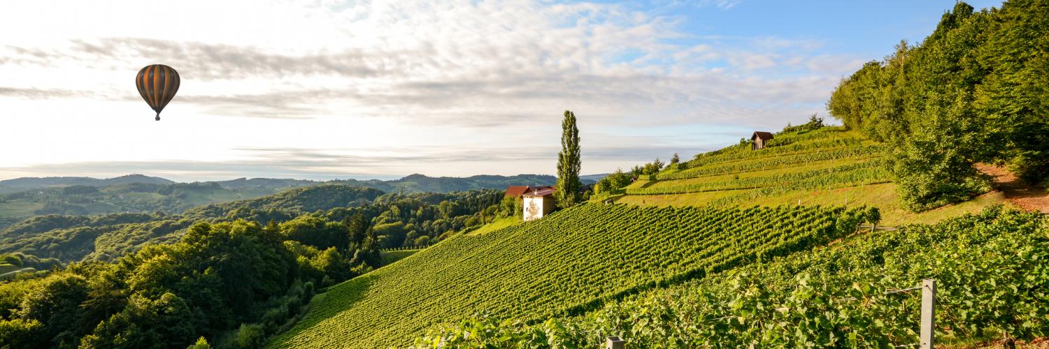 Wein und kulinarische Spezialitäten der Toskana