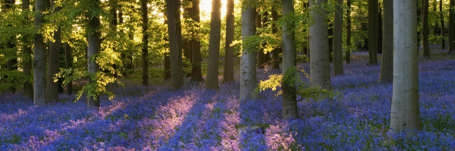 Coton Manor in Northamptonshire, England