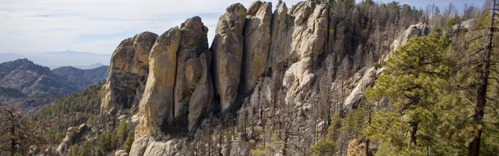 Mount Lemmon Vacation Rentals - HomeToGo
