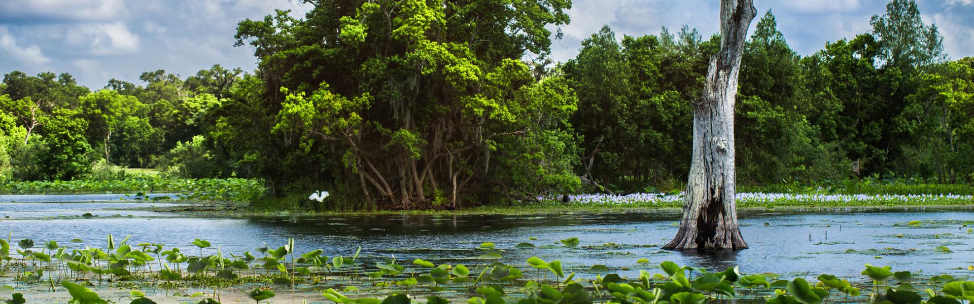 Granbury Vacation Rentals - HomeToGo