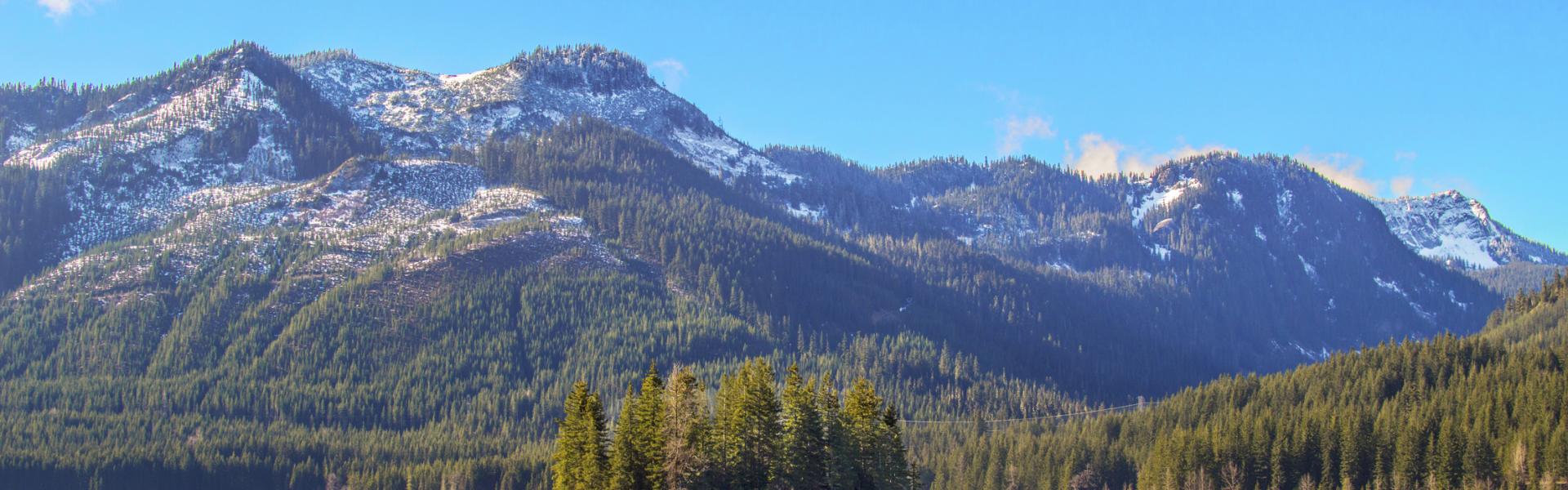 Vacation rentals in Suncadia Resort - HomeToGo