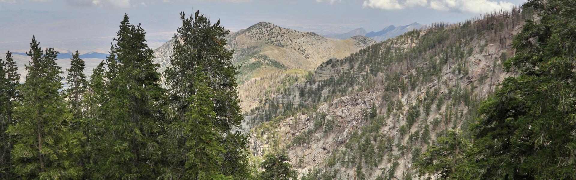 Mount Charleston Vacation Rentals - HomeToGo