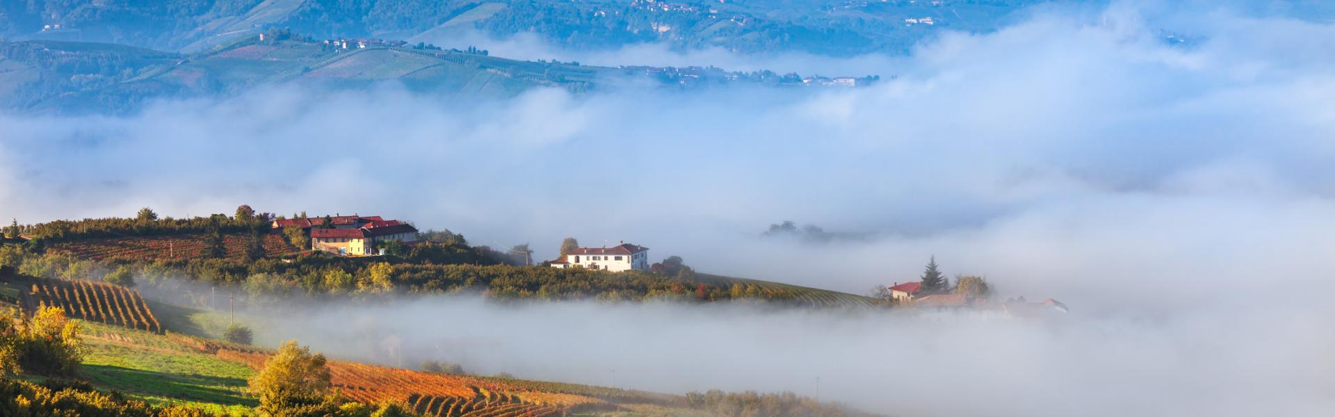 Turismo del vino in Piemonte