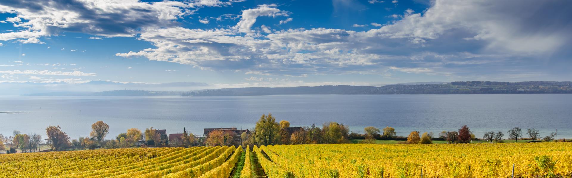 Bodensee Natural View