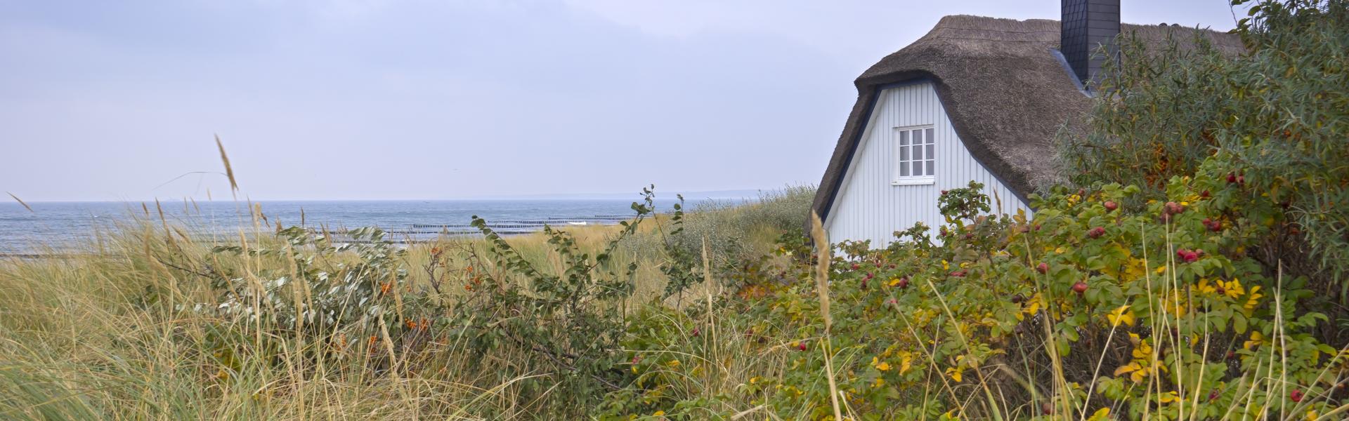 Ostsee Scenic View