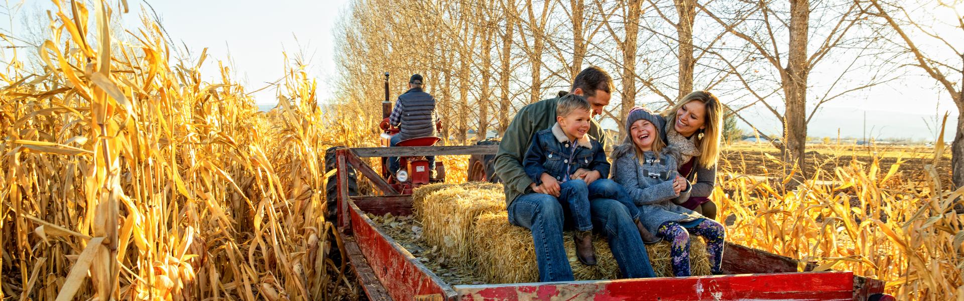 Boerderijvakantie of agriturismo in heel Europa: ontdek het veelzijdige platteland - Casamundo