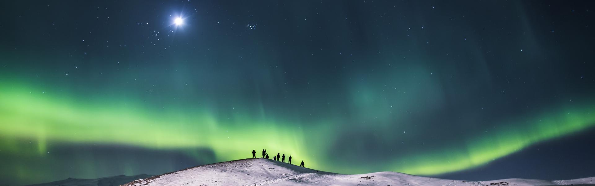 A group of people in a snowy landscape looking at the Northern Lights at night