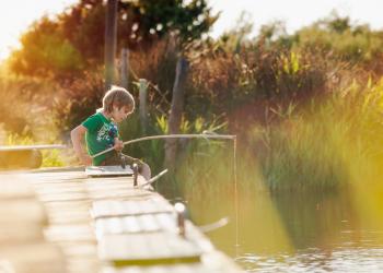 Beste vakantiehuizen voor een visvakantie