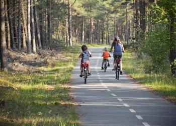 Fietsvakantie in een vakantiehuis