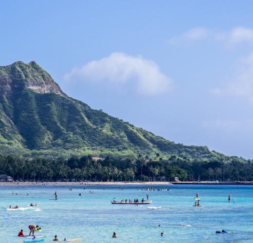 Luscious Green Nature And Polynesian Crafts At Vacation Rentals In Turtle Bay - HomeToGo