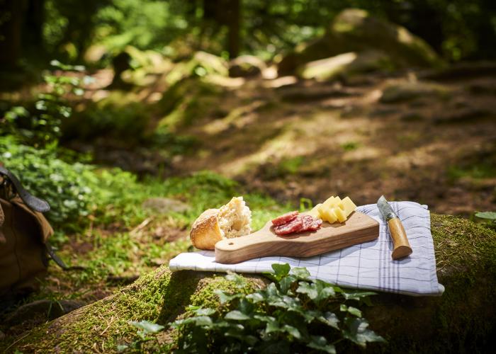 Cocina francesa: especialidades regionales