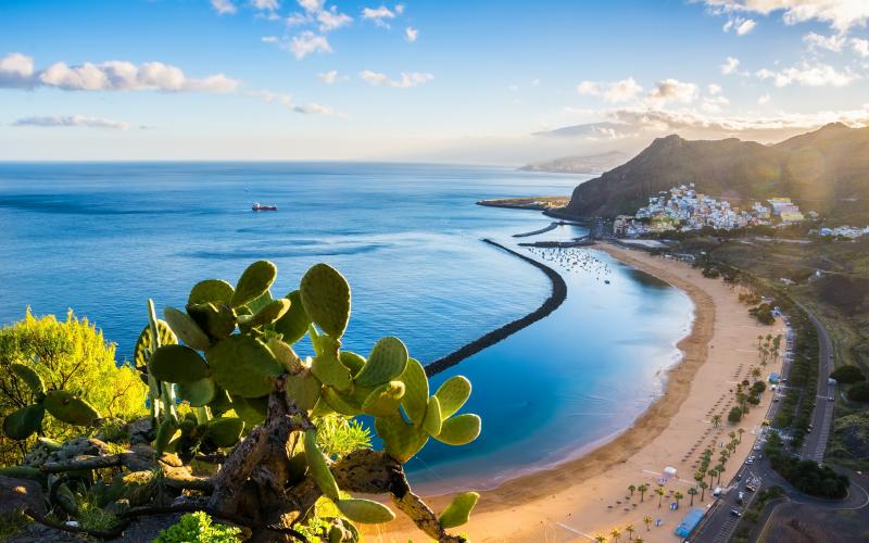 Cactus trees in the foreground overlooking a sandy beach