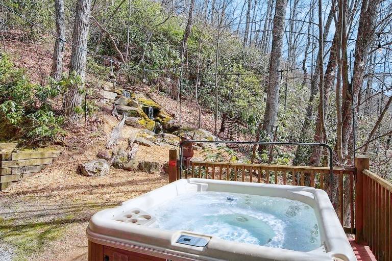 Cabin Lake Junaluska