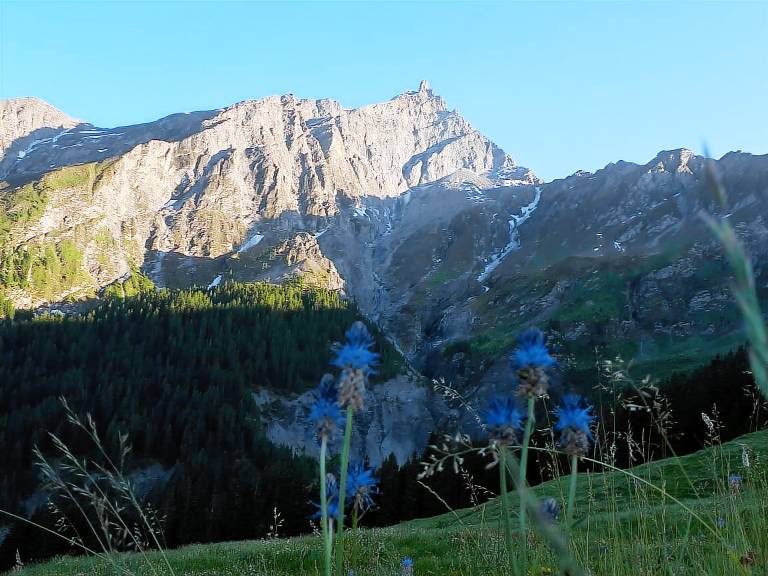 foto3