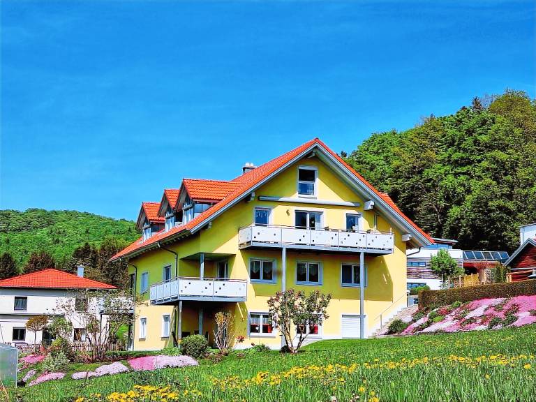 foto1