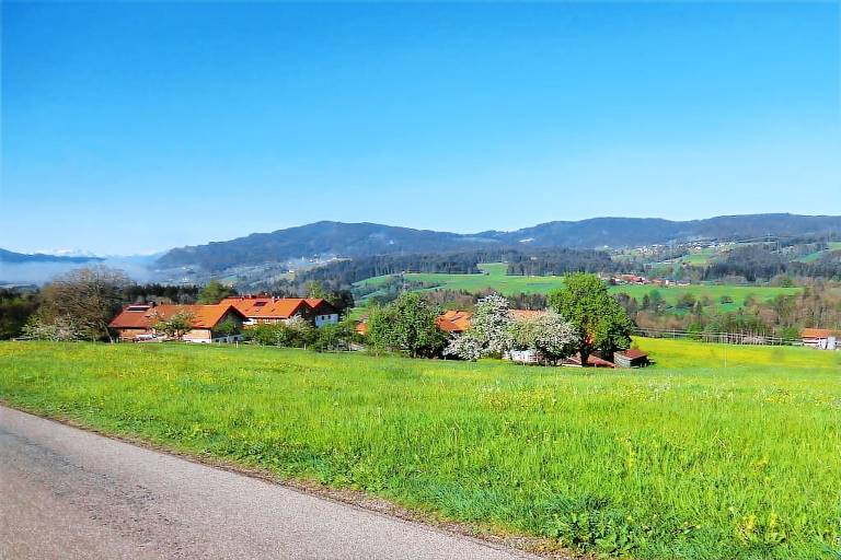 foto1