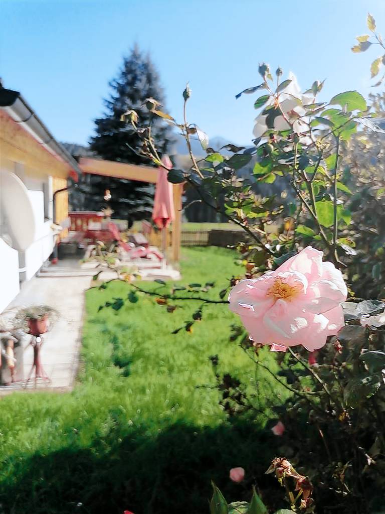 foto2