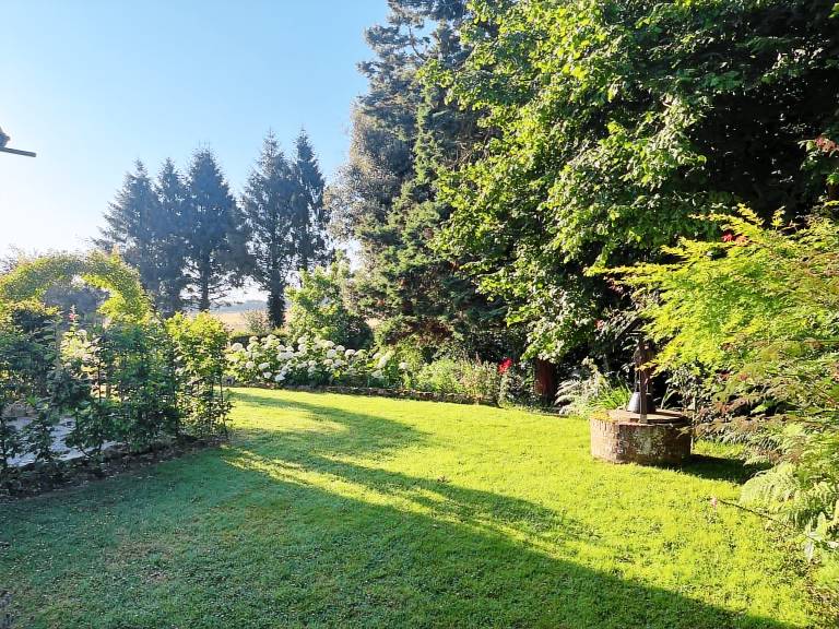 foto1