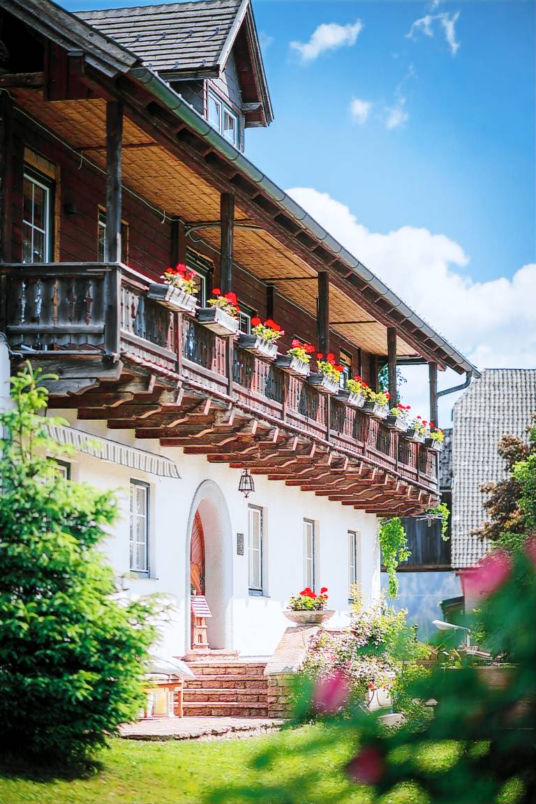 foto1
