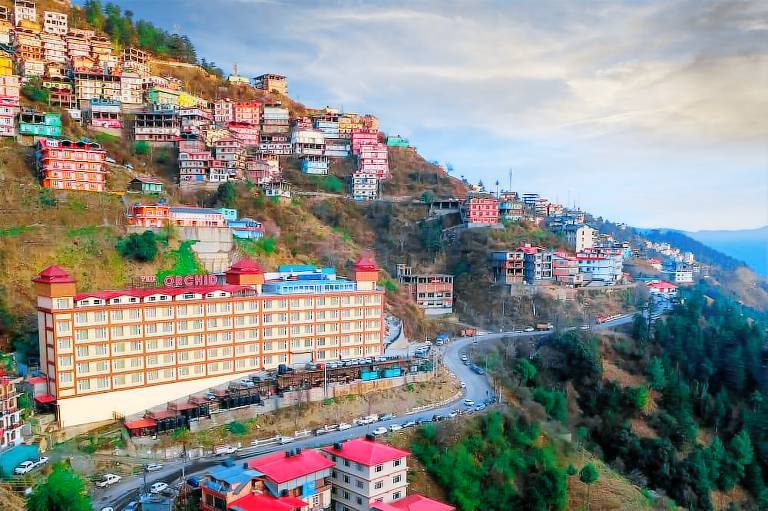 The Orchid Shimla