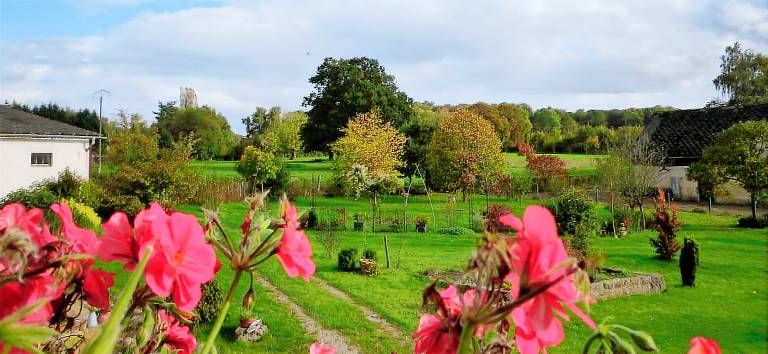 foto4