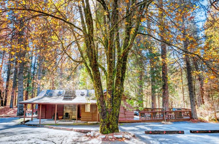 Cabin Wawona