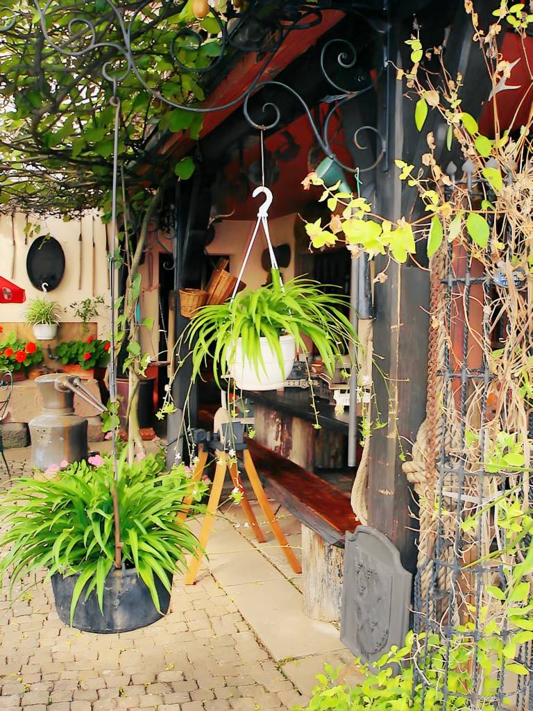 foto4