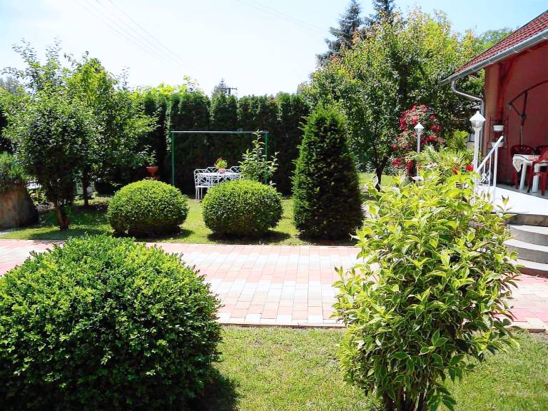 foto5
