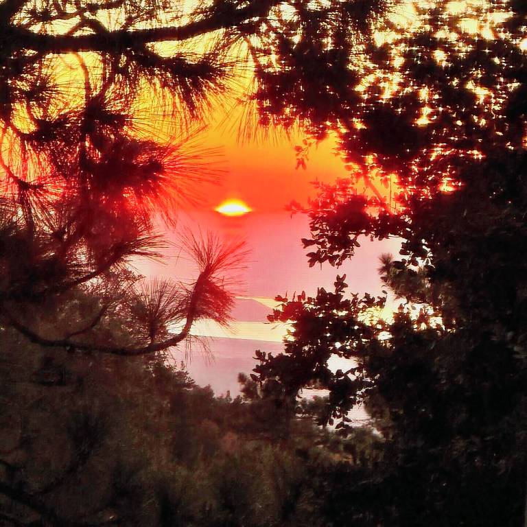 Cabin Idyllwild-Pine Cove