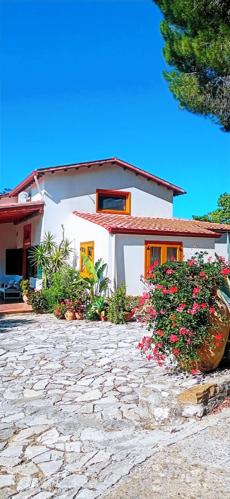 foto2