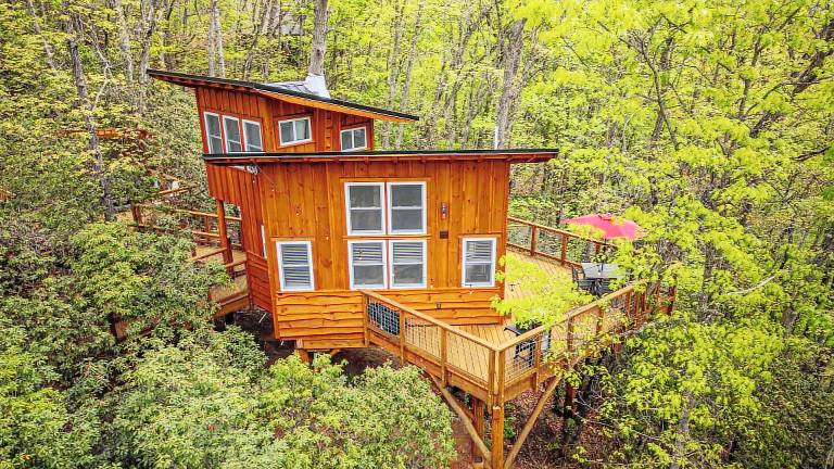 Cabin Bryson City
