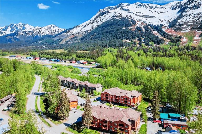 Apartment Girdwood