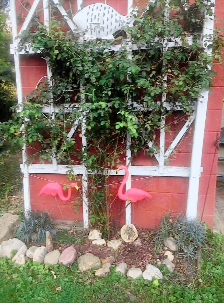 Apartment  Canal Winchester