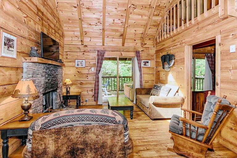 Cabin Townsend