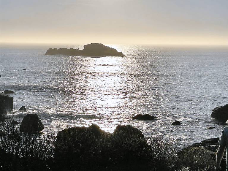 Cottage Crescent City