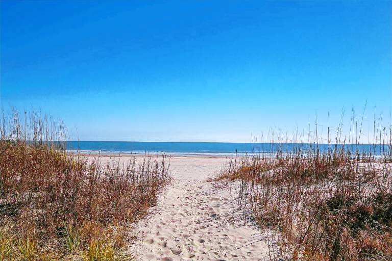 House Wild Dunes