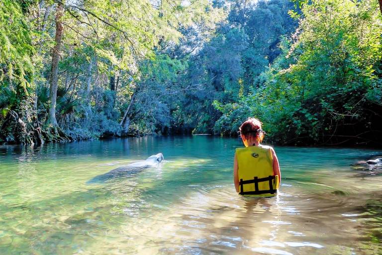 House Weeki Wachee