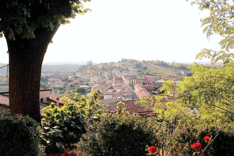 foto1