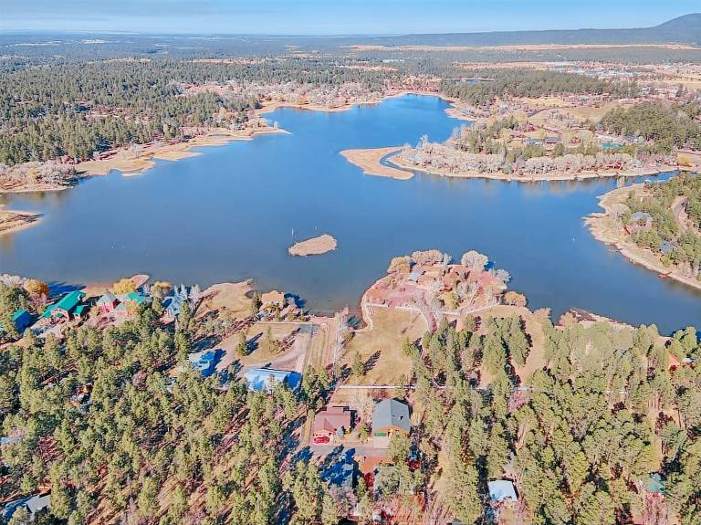 Cabin Pinetop