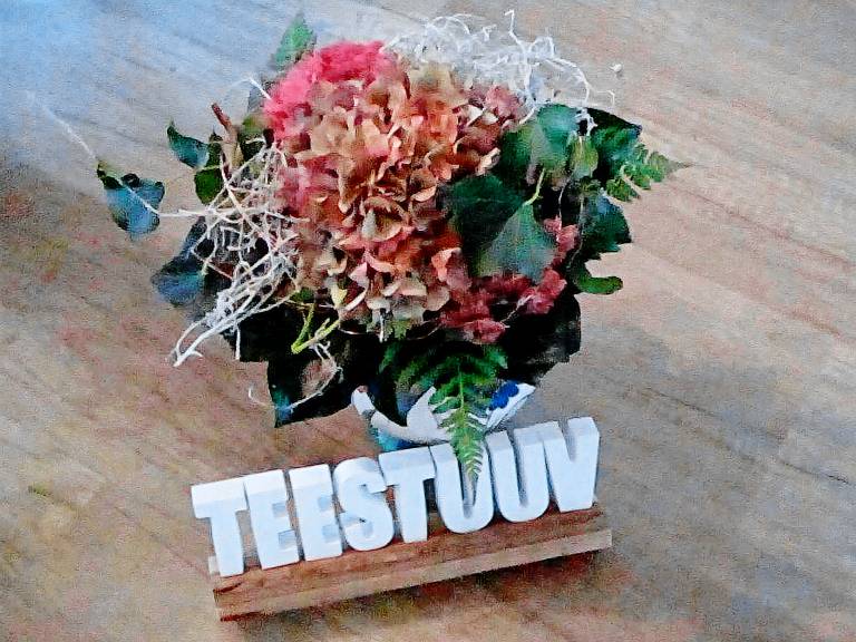 Ferienwohnung TEESTUUV