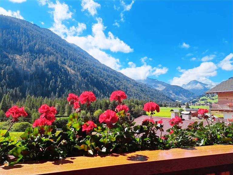 foto4