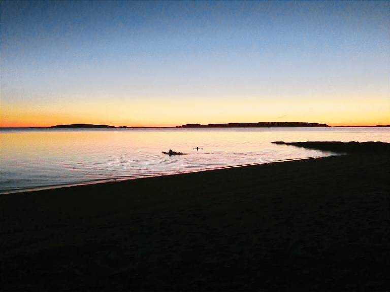 Cottage Wellfleet