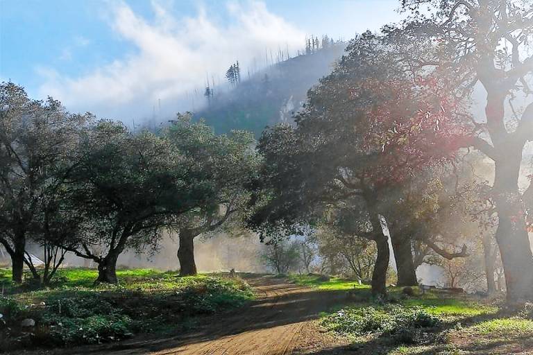 House Palomar Mountain
