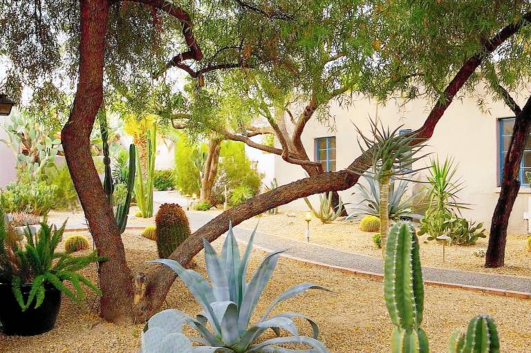 Lodge on the Desert
