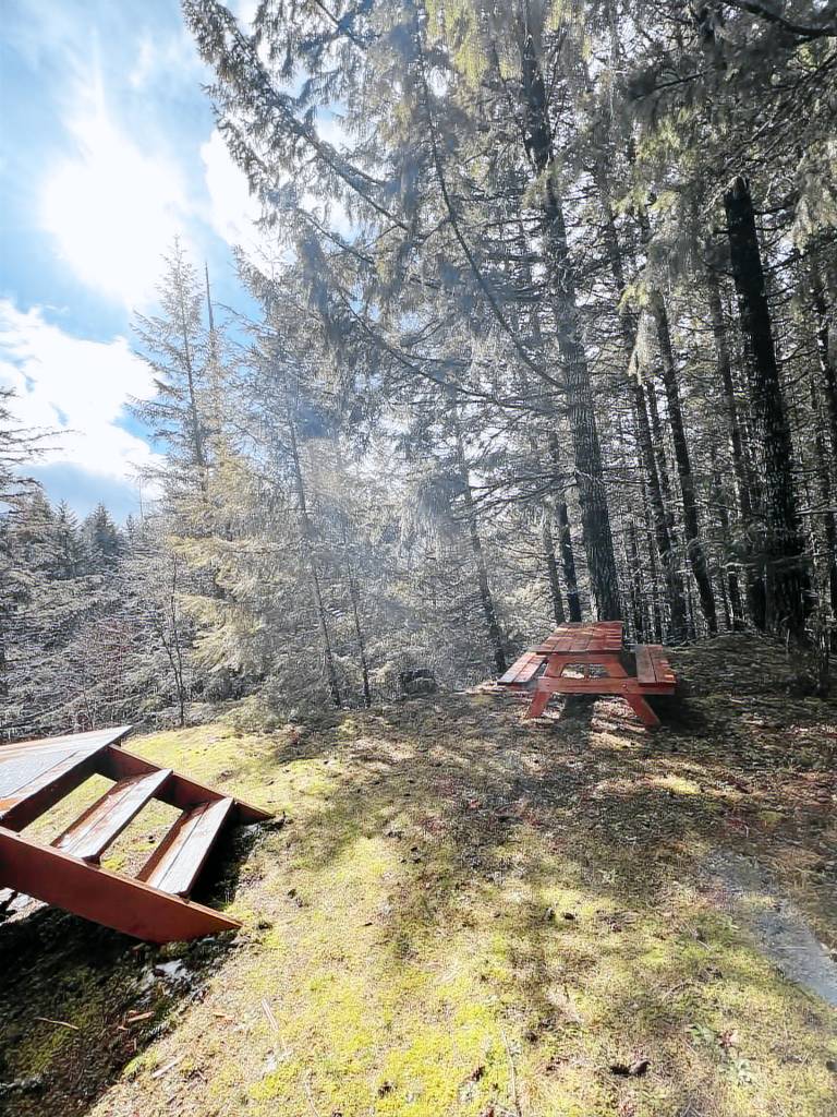 Cabin Packwood
