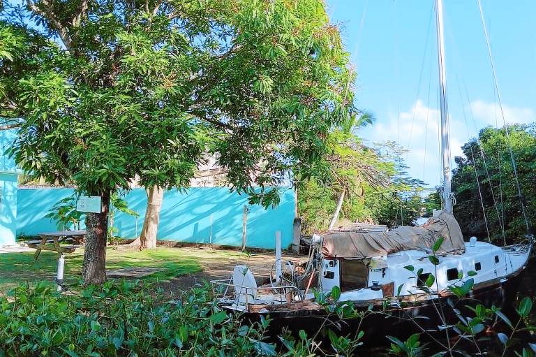 Bamboleo Inn Belize
