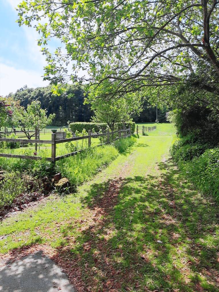 foto3