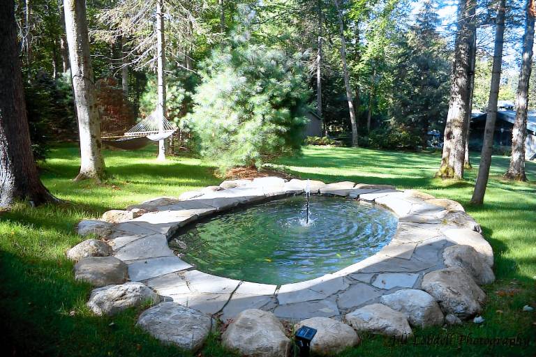 Cabin Lake Placid